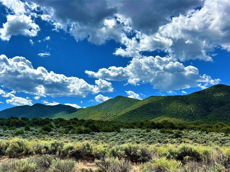 Perfect Spot for Your Dream Ranch : Fort Garland : Costilla County : Colorado