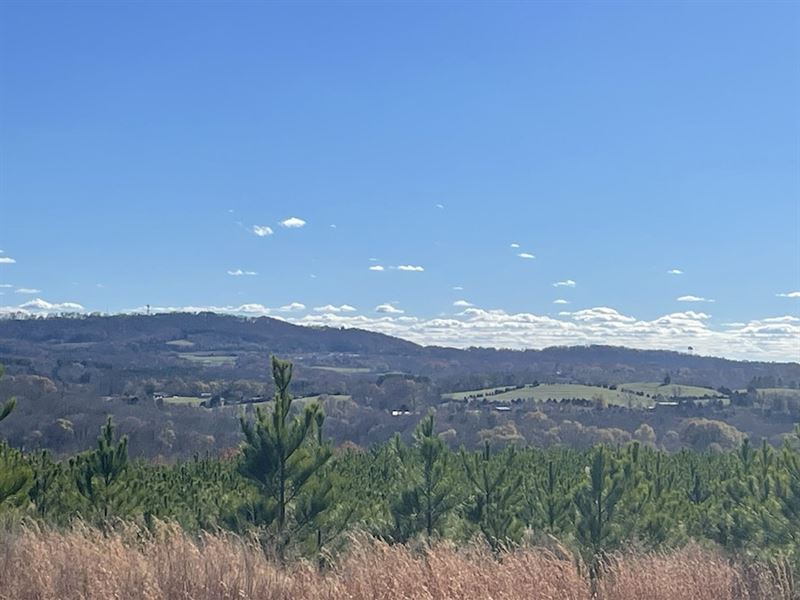 138.50 Acres in Patterson Springs, NC : Patterson Springs : Cleveland County : North Carolina