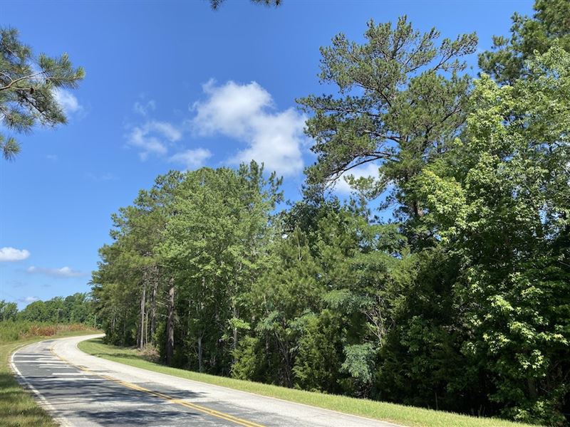 White Oak Woods : White Oak : Fairfield County : South Carolina