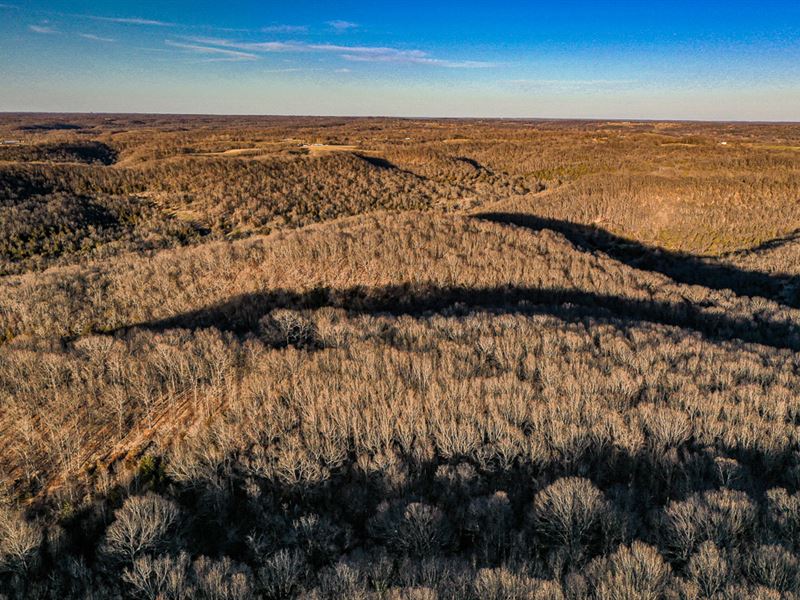 Timber View 120 : Washburn : Barry County : Missouri