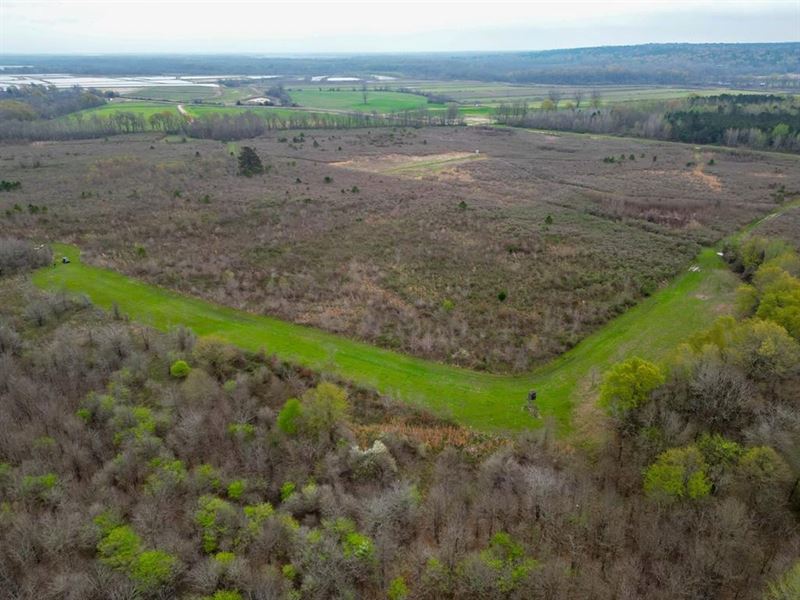 Hunting Land for Sale in Franklin : Wisner : Franklin Parish : Louisiana