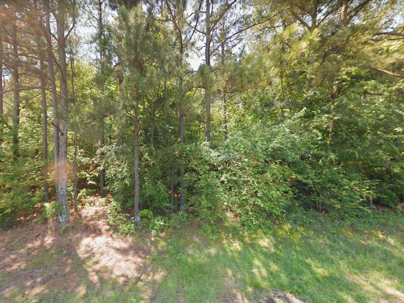 Stocked Pond, Tiny Homes and More : Albertville : Marshall County : Alabama
