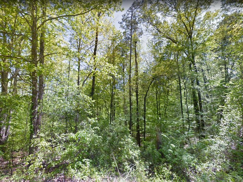 Utilities Included, 3 Acres : Fayette : Tuscaloosa County : Alabama