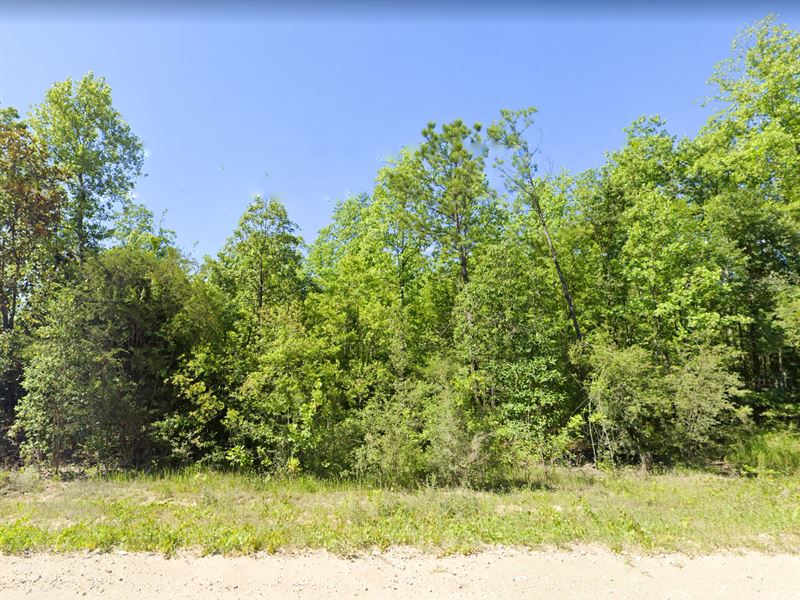 Private, Secluded Lot : Chipley : Washington County : Florida