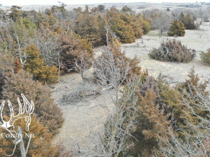 880 Acres M/L Kiowa County, Kansas : Greensburg : Kiowa County : Kansas