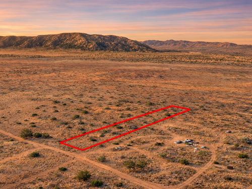 1.19 Acre Flat Land, $150/Mo : Snowflake : Navajo County : Arizona