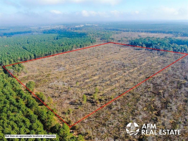 Bagwell South Tr. 114S-1 : Bagwell : Red River County : Texas