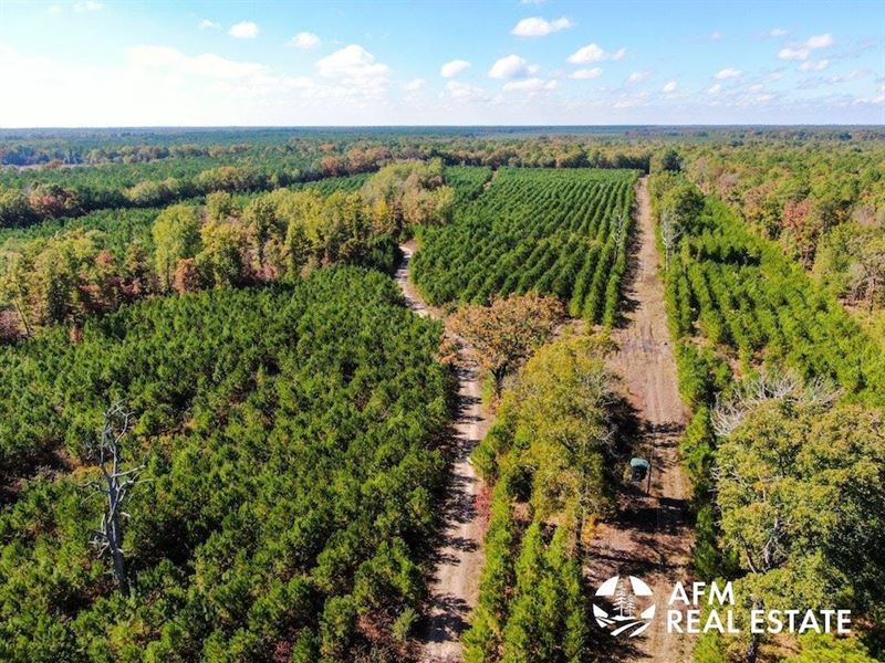 Pecan Bayou, Tr. 126 : Bagwell : Red River County : Texas