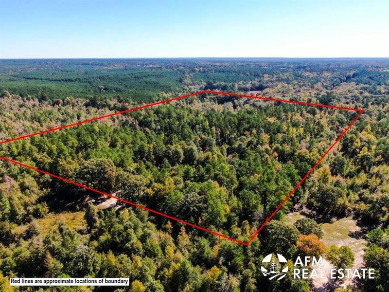 Hunter Hideaway : Crockett : Houston County : Texas