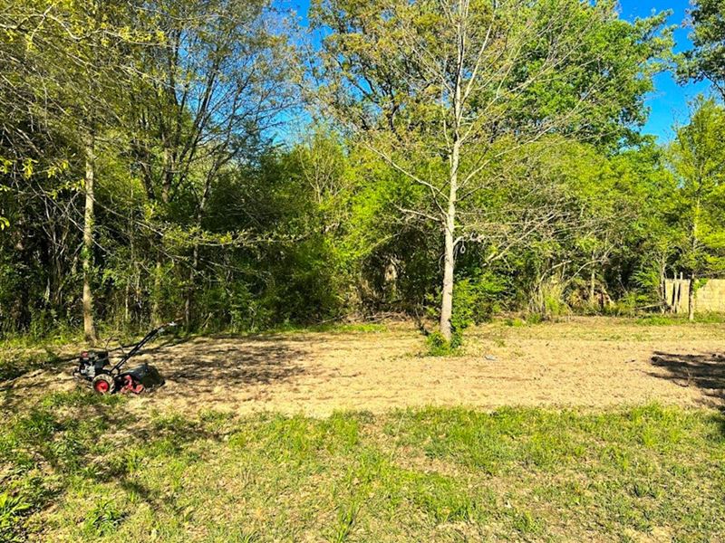 McClesky Tract : De Queen : Sevier County : Arkansas