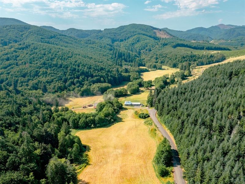 191 Wells Rd, Pe Ell : Pe Ell : Lewis County : Washington