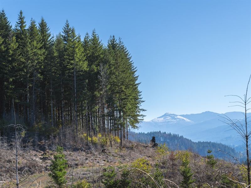 Santiam/Pioneer Rd : Gates : Marion County : Oregon