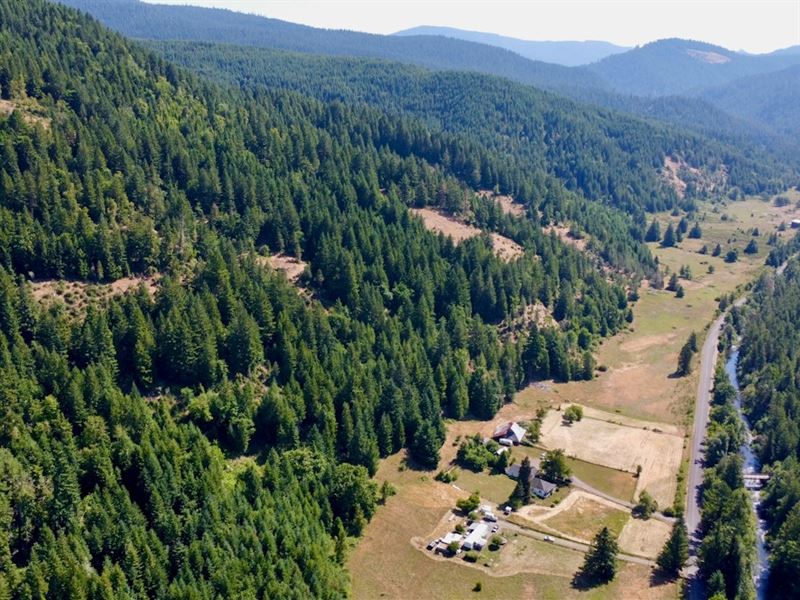 Pitcher Ranch : Dorena : Lane County : Oregon
