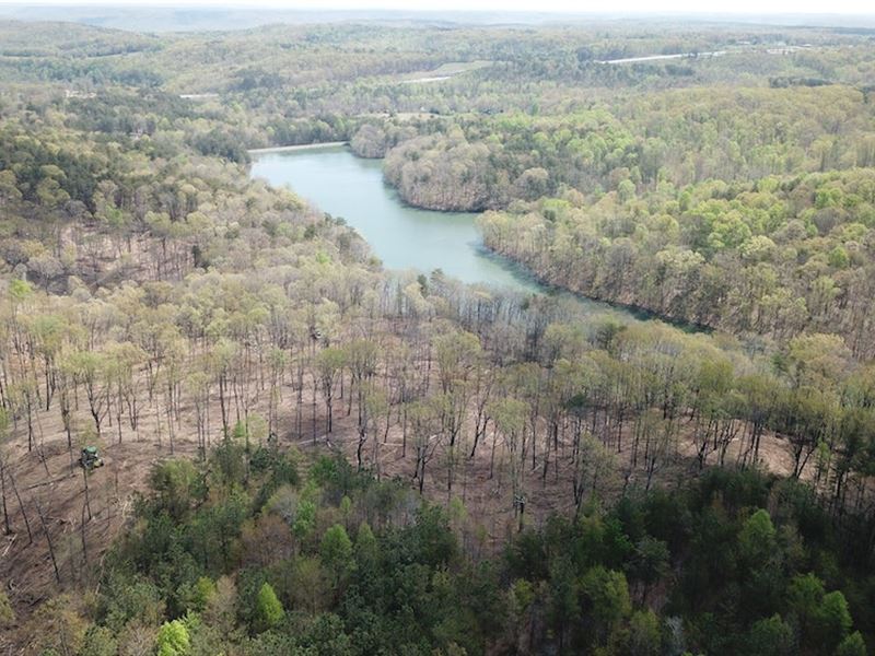 Seq 1021 East : Spencer : Van Buren County : Tennessee
