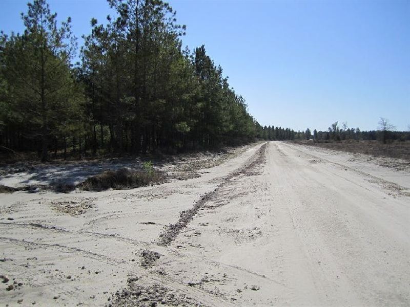 Comp 135A-2-3 : Macclenny : Union County : Florida