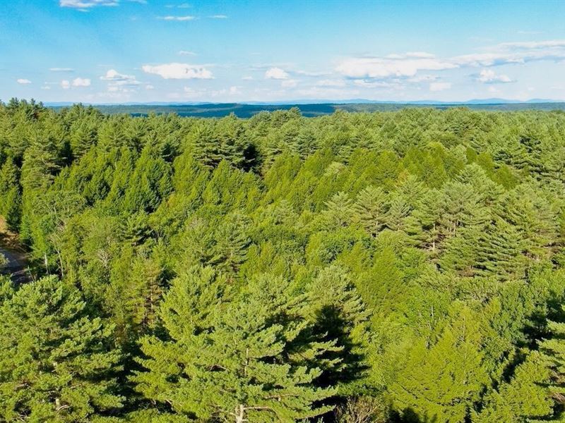 1960K Sqft in Mountain Dale, NY : Mountain Dale : Sullivan County : New York