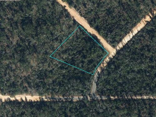 Spacious Florida Corner Lot : Marianna : Jackson County : Florida