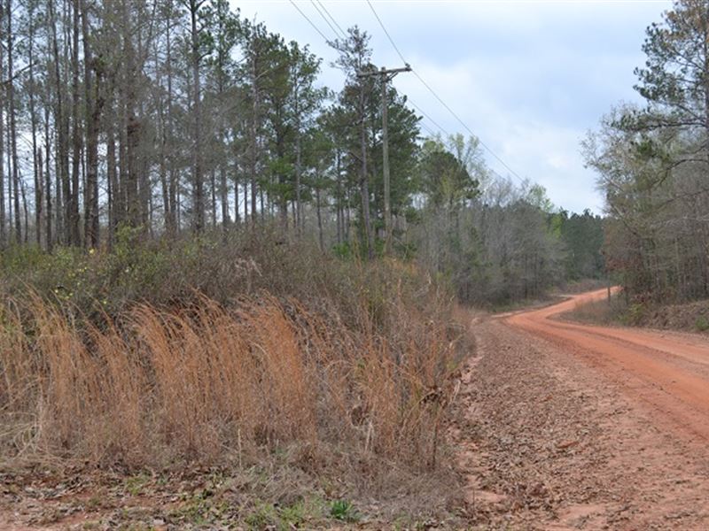 Hillside Tract : Toomsboro : Wilkinson County : Georgia