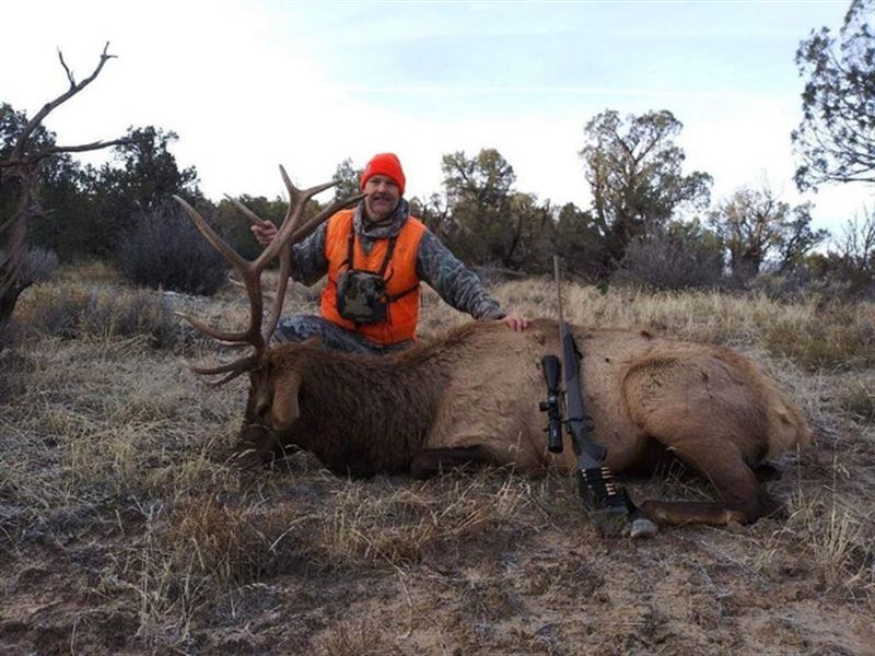 47875 V Rd, DE Beque, Co 81630 : De Beque : Mesa County : Colorado