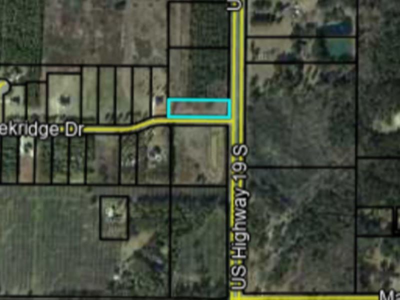 1.84 Acres in Leesburg, Georgia : Leesburg : Lee County : Georgia