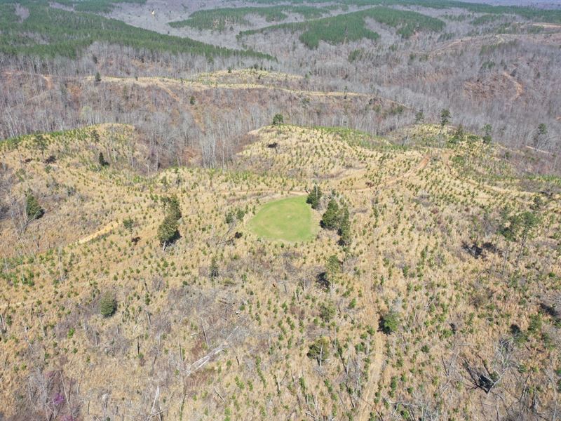 260 Acres Waterloo AL : Waterloo : Lauderdale County : Alabama
