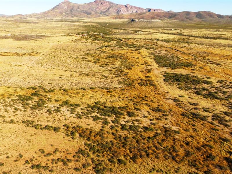 You've Found Your Happy Place in AZ : Sunsites : Cochise County : Arizona