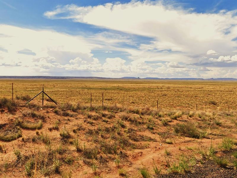 Gift Yourself Raw Land in AZ : Joseph City : Navajo County : Arizona