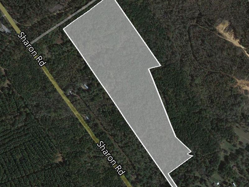 34.50 Ac Super Sale : Canton : Madison County : Mississippi