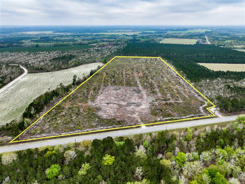 28.83 Acres, Blackshear Highway : Surrency : Appling County : Georgia