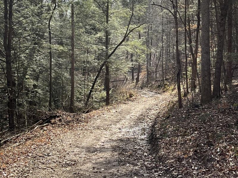 Stringtown 45 : Sandy Hook : Elliott County : Kentucky
