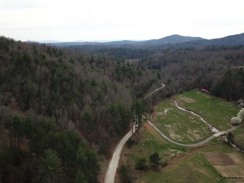 44.3 Acres Off Sand Ridge Road : Millers Creek : Wilkes County : North Carolina