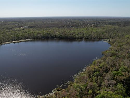 Hidden Lake Preserve : New Port Richey : Pasco County : Florida
