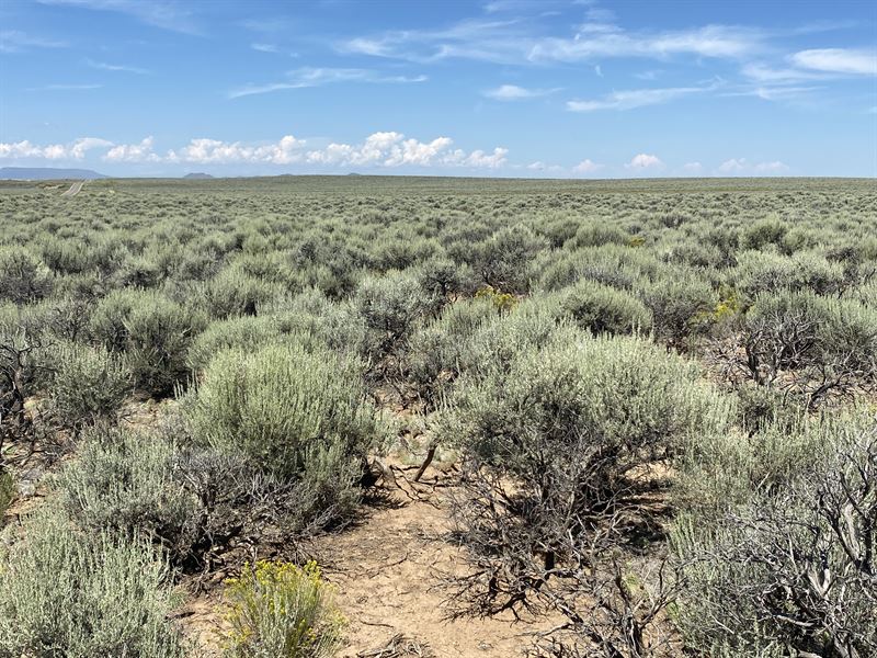 Dirt Bikes & Otv Adventure in Co : San Luis : Costilla County : Colorado