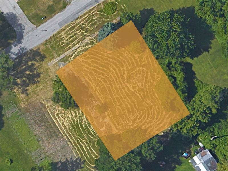 Partially Cleared Residential Lot : Saginaw : Saginaw County : Michigan