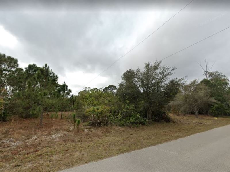 Live The Florida Dream : Punta Gorda : Charlotte County : Florida