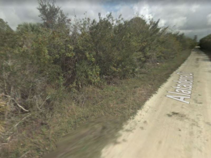 Explore Punta Gorda : Punta Gorda : Charlotte County : Florida