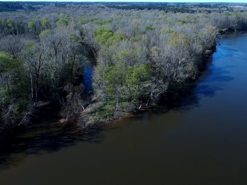 Hunting Land with Great Lodge : Elizabethtown : Bladen County : North Carolina