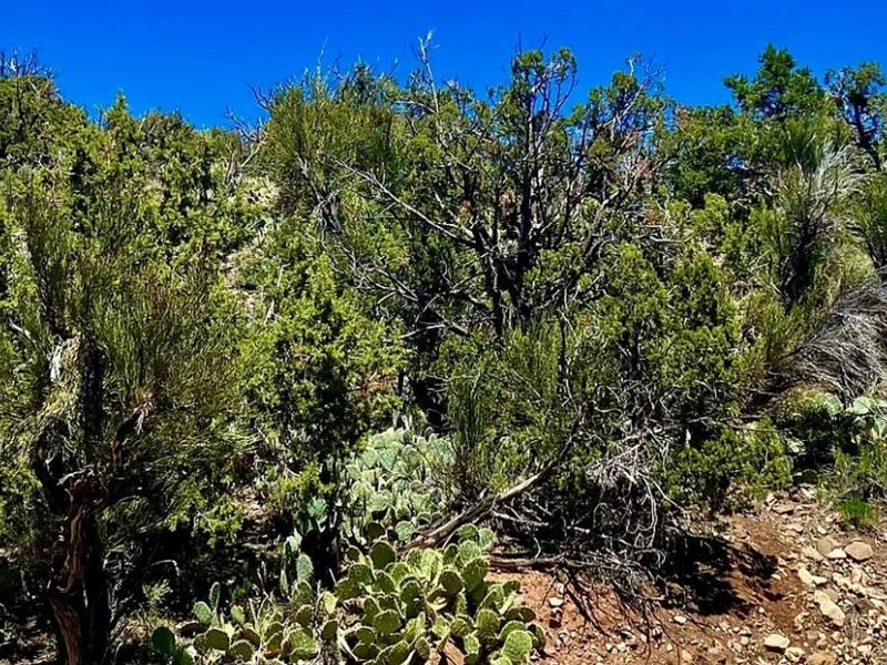 57.42 Acres for Sale in Kingman, AZ : Kingman : Mohave County : Arizona
