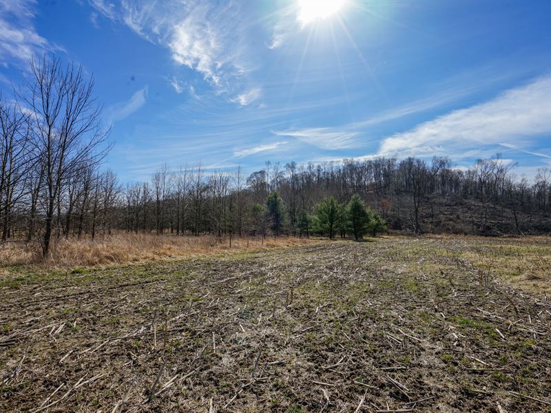Adamsville Otsego Rd Lot 1 : Adamsville : Muskingum County : Ohio
