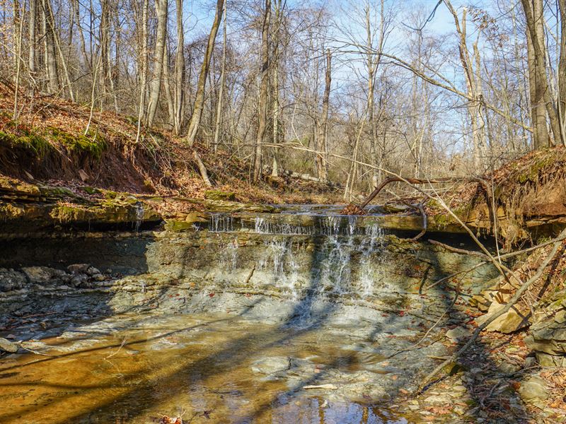 State Route 83, 68.932 Acres : Beverly : Morgan County : Ohio