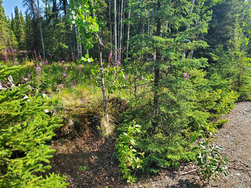 2.06 Acres for $50K in Sterling, AK : Sterling : Kenai Peninsula Borough : Alaska