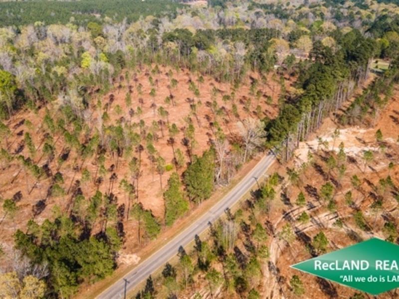 27.4 Ac, Wooded Tract for Rural Ho : Point : Union Parish : Louisiana