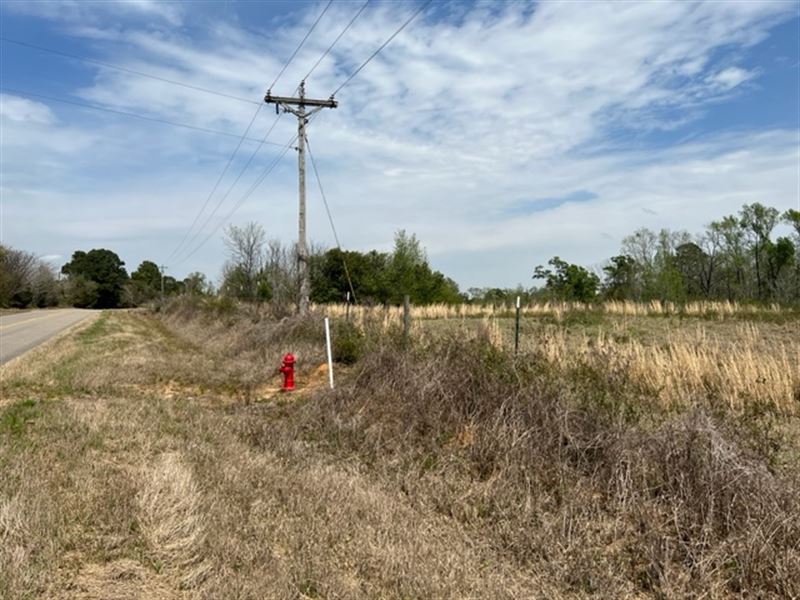 19+/- Acres Future Homesite in AL : Dothan : Houston County : Alabama