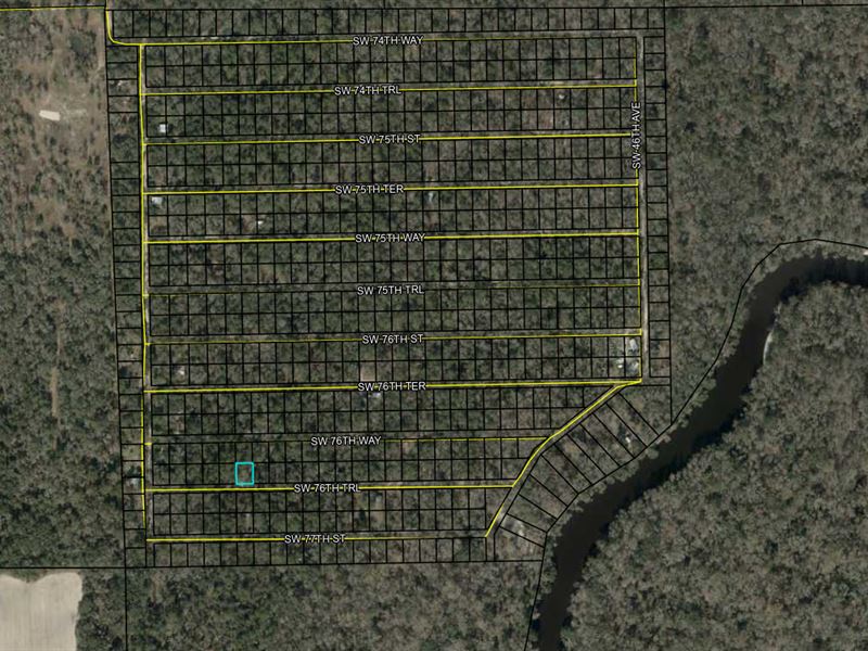 Suwannee River Campsite : Jasper : Hamilton County : Florida