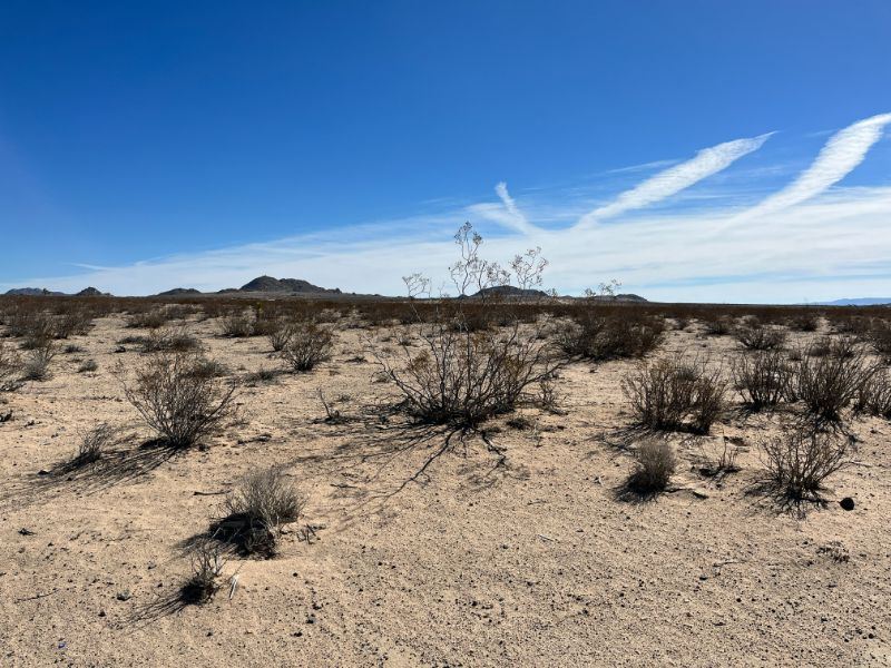 5 Acres in The Lucerne Valley Area : Lucerne Valley : San Bernardino County : California