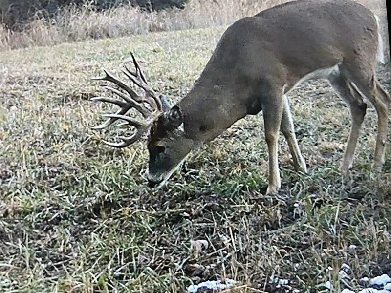 Elks 1260 West : Longton : Elk County : Kansas