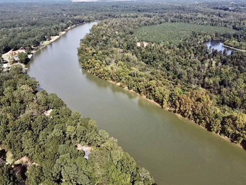Demopolis Riverfront Hunting : Demopolis : Hale County : Alabama