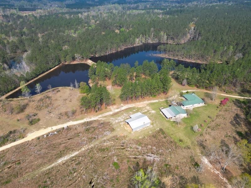 Hunting Land for Sale in Lamar Coun : Lumberton : Lamar County : Mississippi