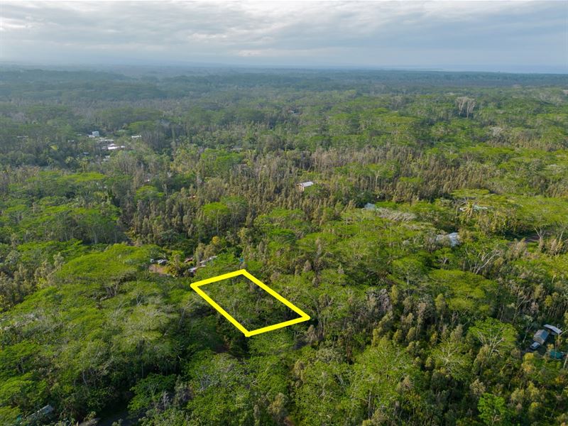 .19 Acre Lot in Hawaii : Pahoa : Hawaii County : Hawaii