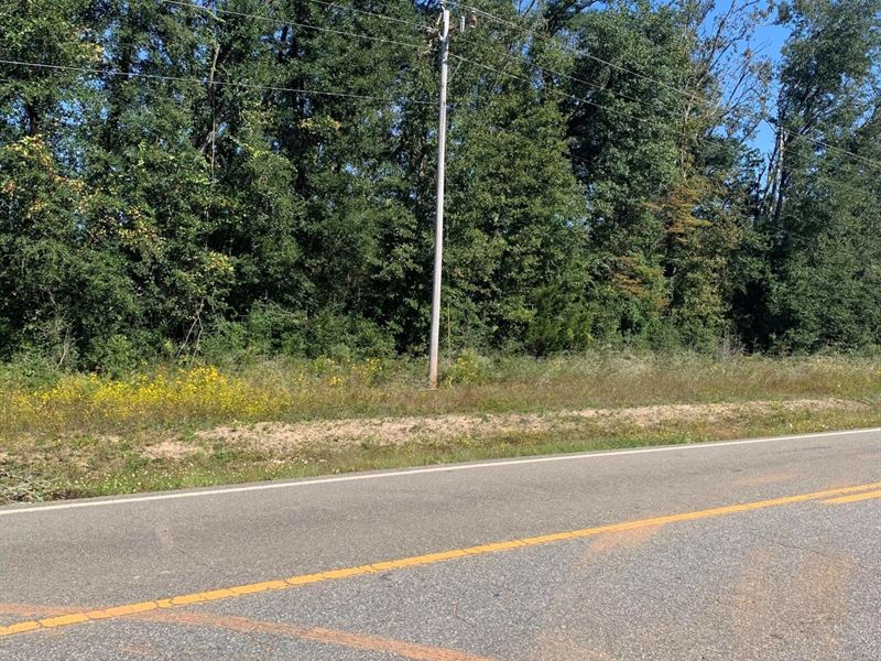 Owner Finance Land in Alford, FL : Alford : Jackson County : Florida